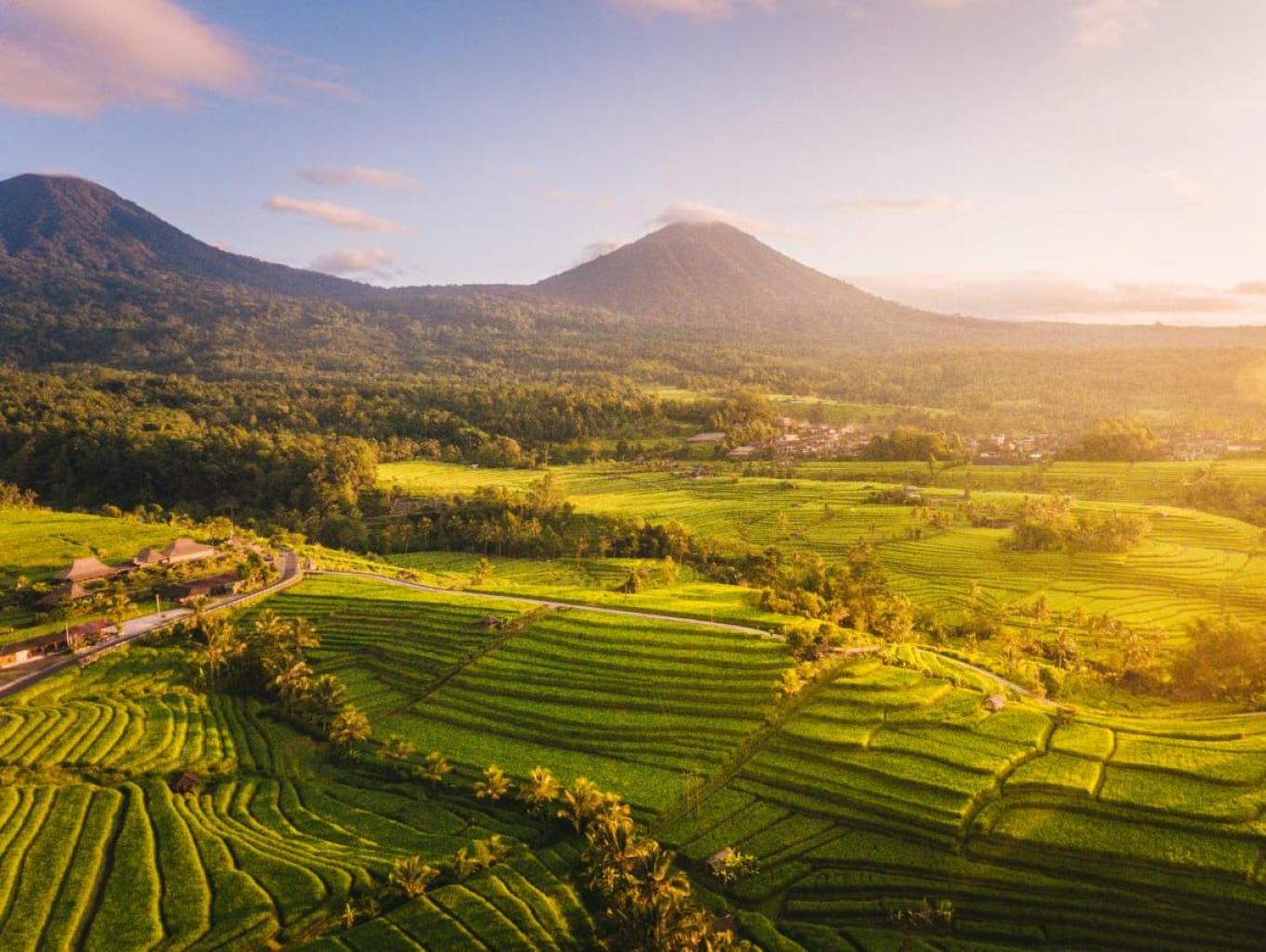 Alam Desa Pondok Labu yang Asri