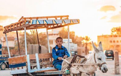 Membangun Kesadaran Masyarakat tentang Program Bantuan Sosial di Desa Pondok Labu