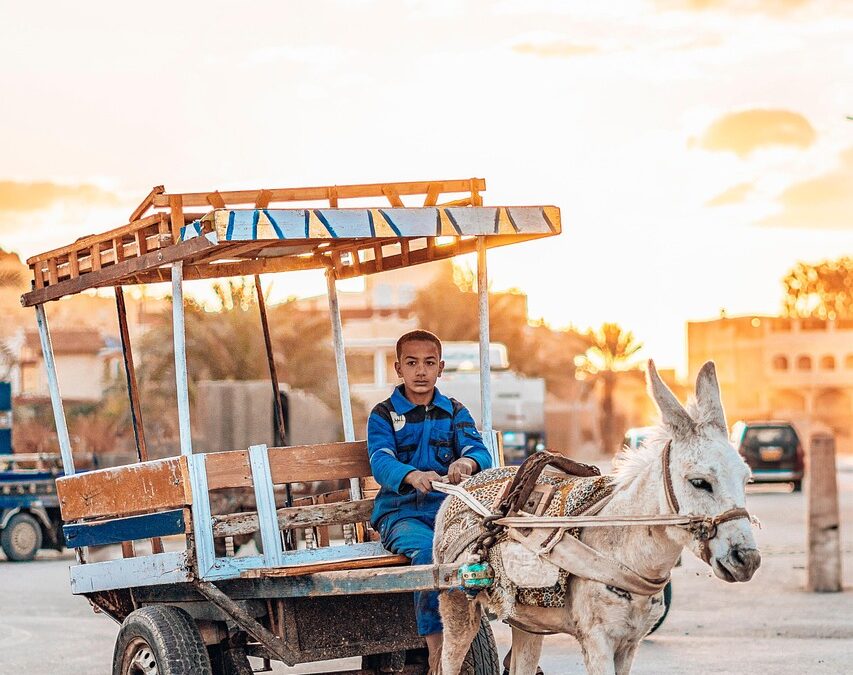 Membangun Kesadaran Masyarakat tentang Program Bantuan Sosial di Desa Pondok Labu