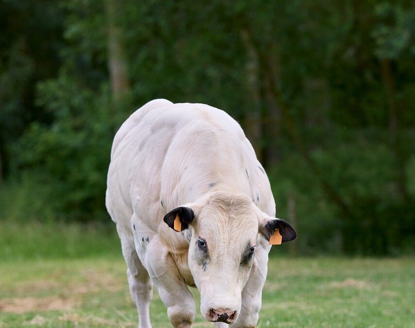 Studi Kasus Keberhasilan Program Bantuan Sosial di Desa Pondok Labu