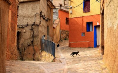 Dampak Pelatihan Perekonomian bagi Pelaku Usaha Desa Pondok Labu