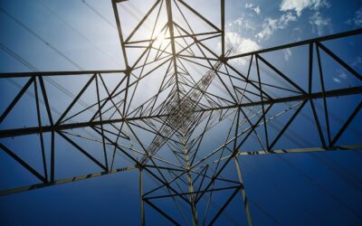 Keterampilan Digital untuk Perekonomian Desa Pondok Labu