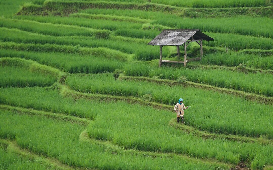 Pelatihan Perekonomian: Kunci Kemandirian Desa Pondok Labu