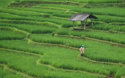 Pelatihan Perekonomian: Kunci Kemandirian Desa Pondok Labu