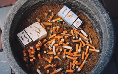 Peran Koperasi dalam Mendorong Perekonomian Desa Pondok Labu